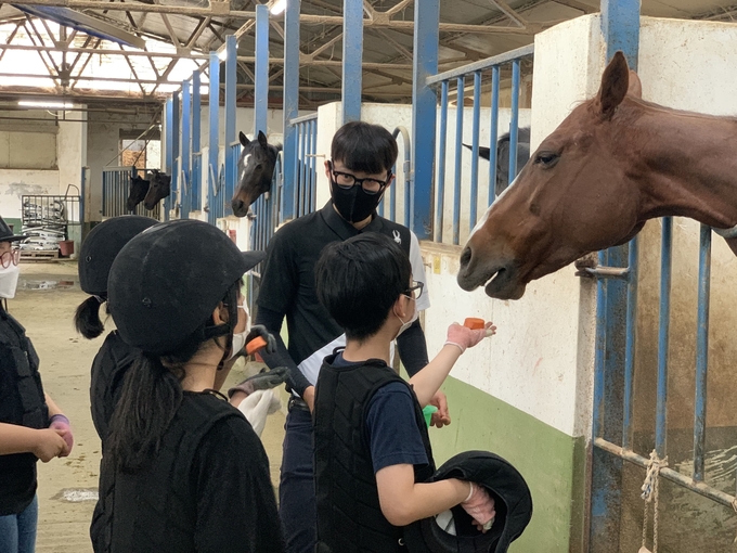말먹이주기체험