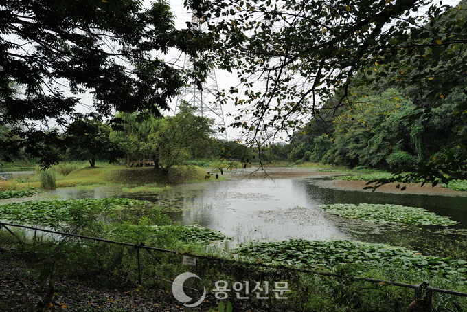 시미2리 동인농장 내에 있는 아름다운 연못