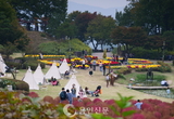[용인신문] 국화 품은 가을정원 ‘힐링타임’