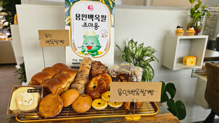 백옥쌀·조아용 활용 ‘푸드 관광 상품화’