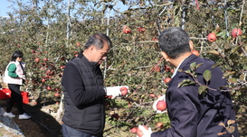 구성농협·고향주부, 농촌 일손돕기 ‘구슬땀’