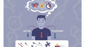 남자의 정자도 늙는다