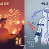 잔이 오를수록, 발기는 내려간다